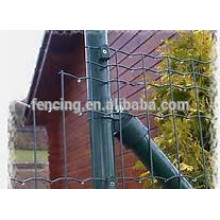 euro fence coatings for protecting use for sales/ PVC coated euro fence